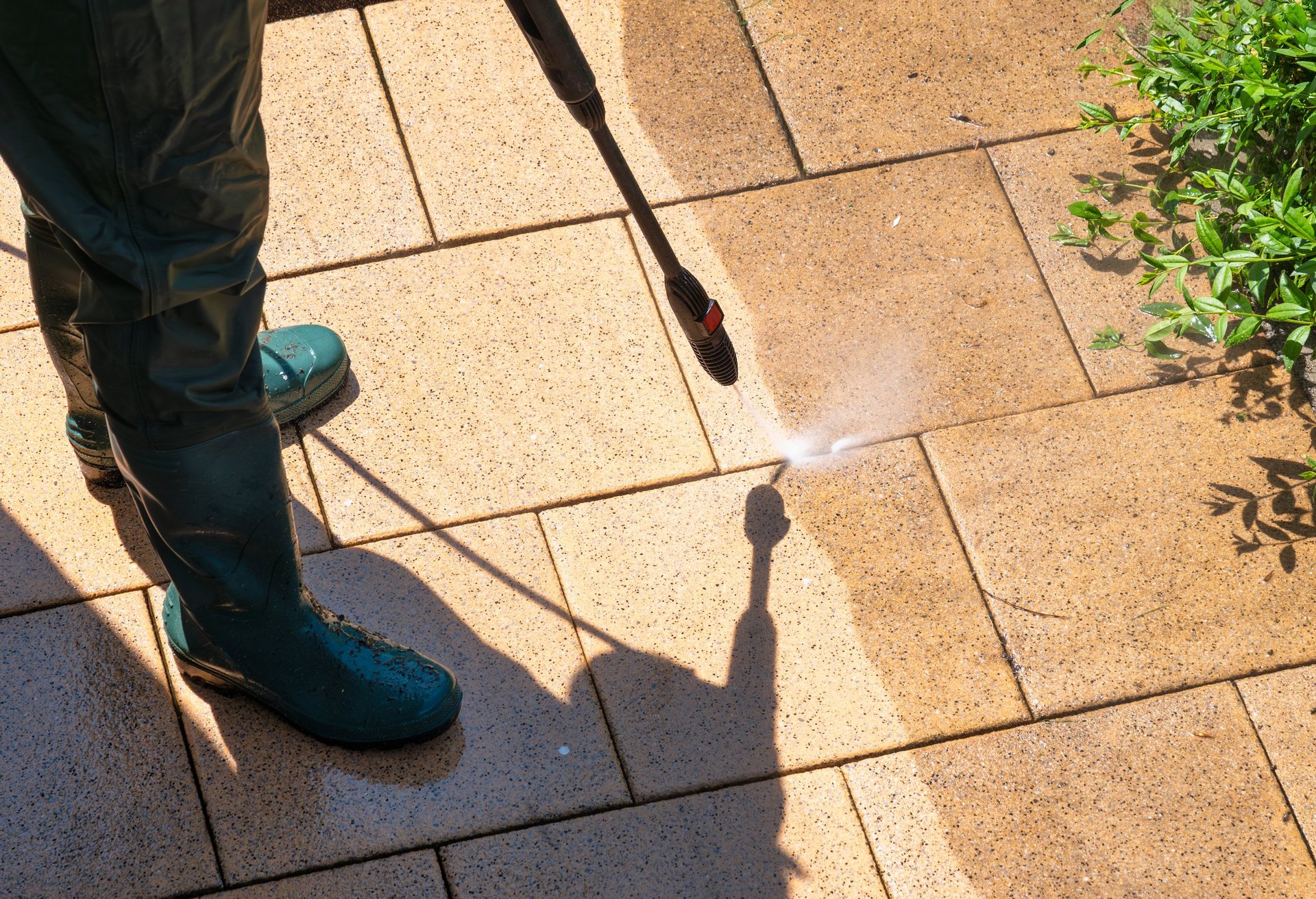 Professional cleaning service